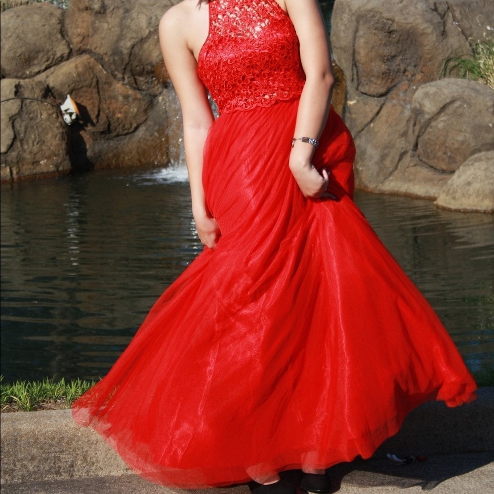 David’s Bridal Prom Dress